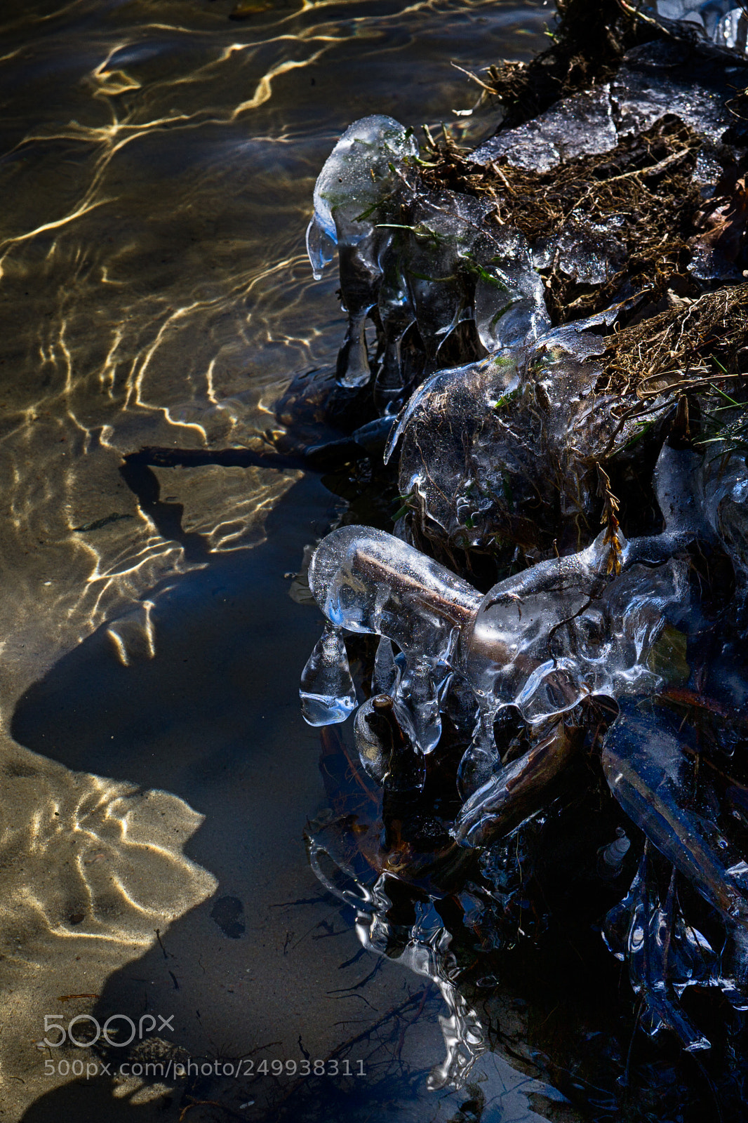 Sony a6000 sample photo. The last ice... photography