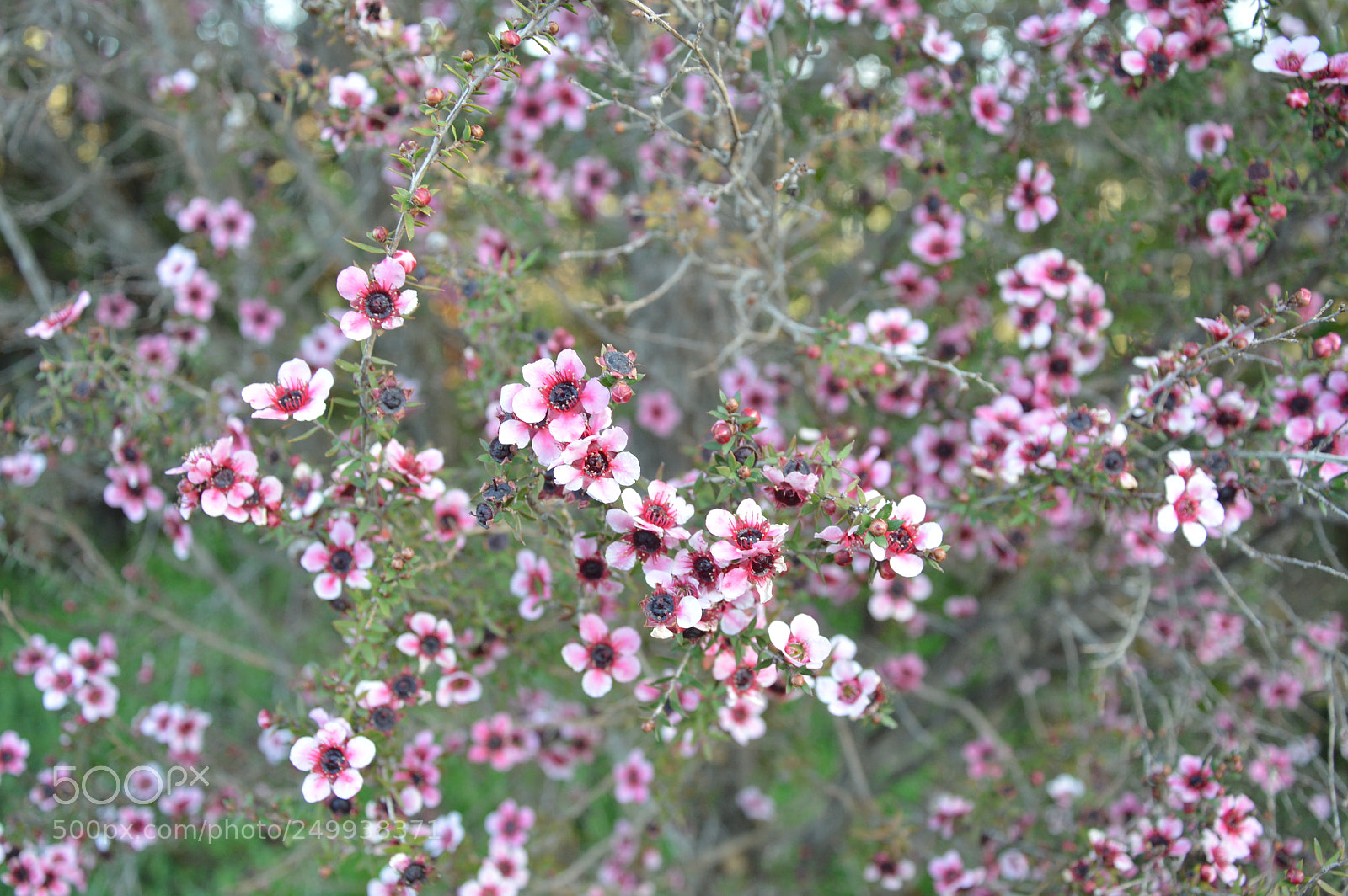 Nikon D3200 sample photo. Dsc photography