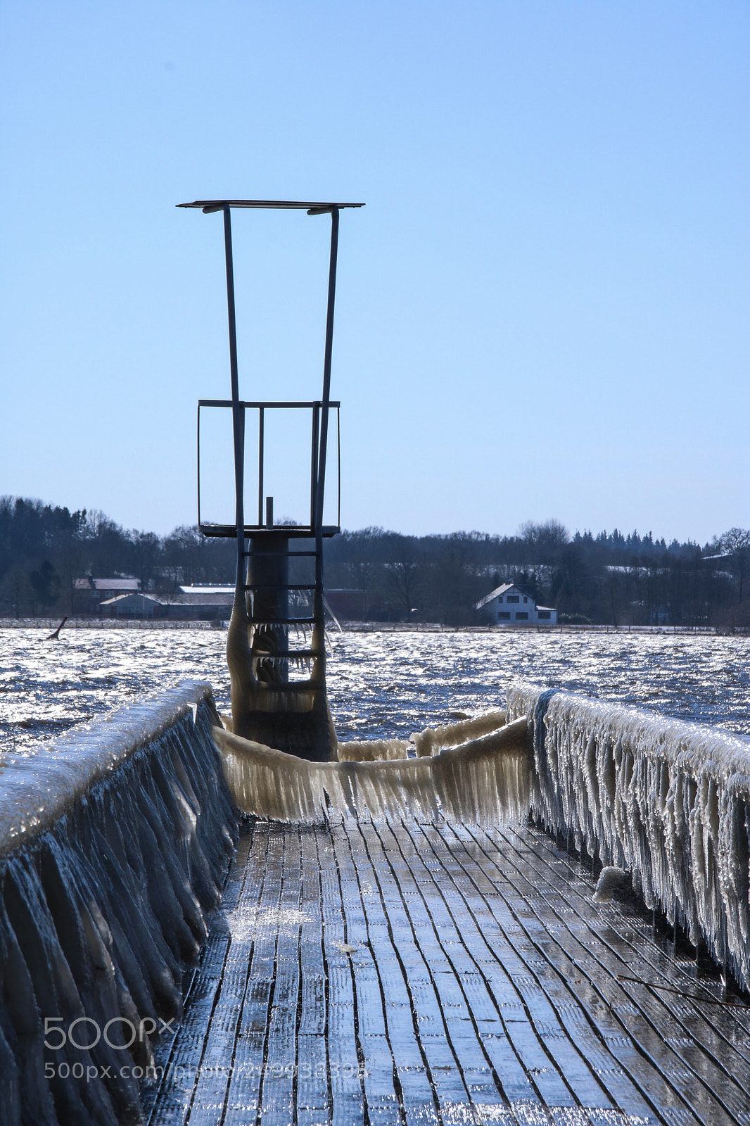 Canon EOS 750D (EOS Rebel T6i / EOS Kiss X8i) sample photo. Frozen iii photography