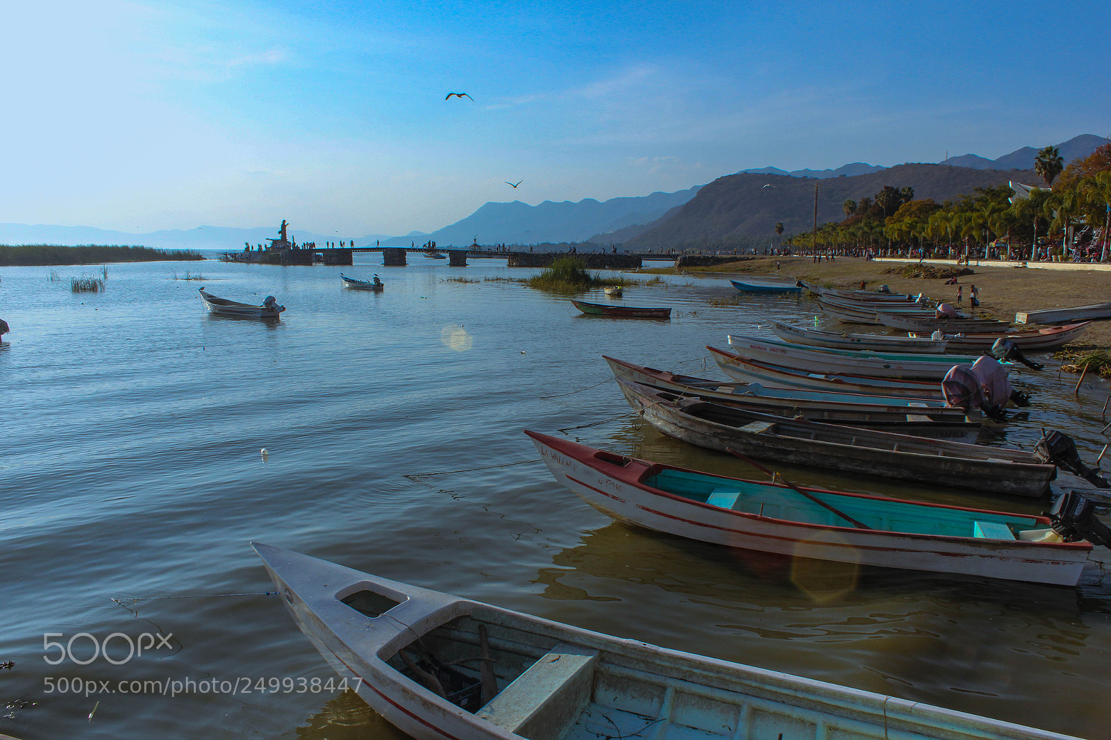 Canon EOS 550D (EOS Rebel T2i / EOS Kiss X4) sample photo. Lago de chapala, jalisco photography