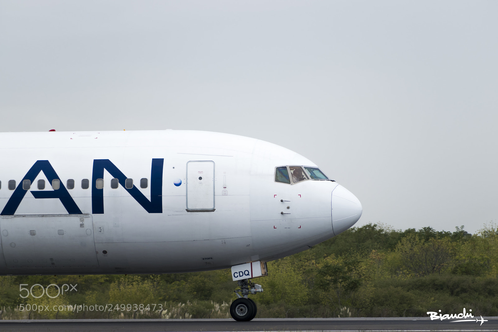 Nikon D5500 sample photo. First spotting day in photography