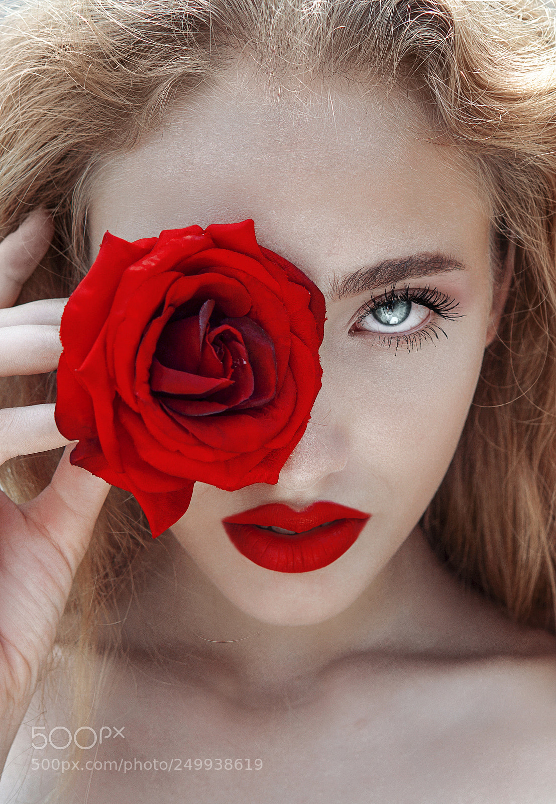 Sony a6000 sample photo. Rose photography