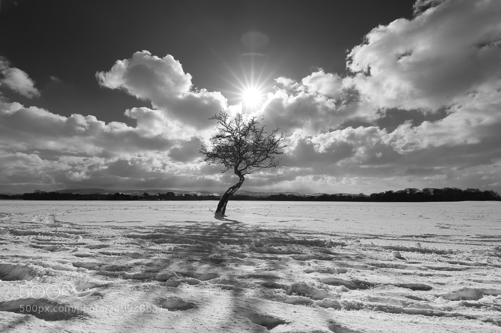 Canon EOS 5D Mark IV sample photo. Remembering the snow photography