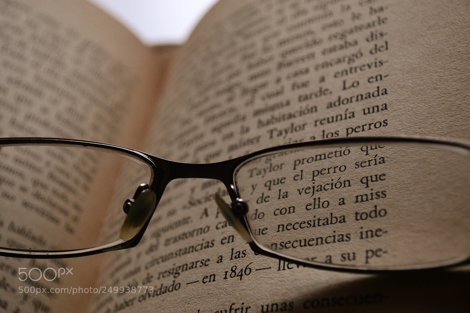 Nikon D3100 sample photo. Eye in life photography