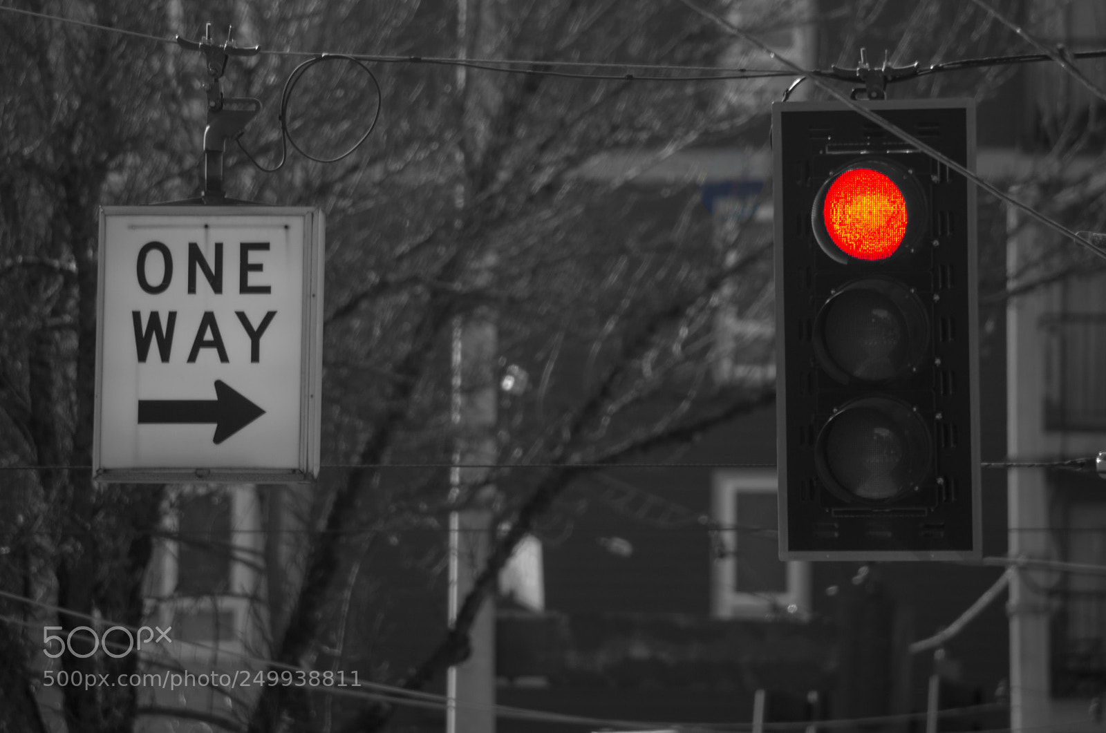 Nikon D3100 sample photo. No where to go! photography