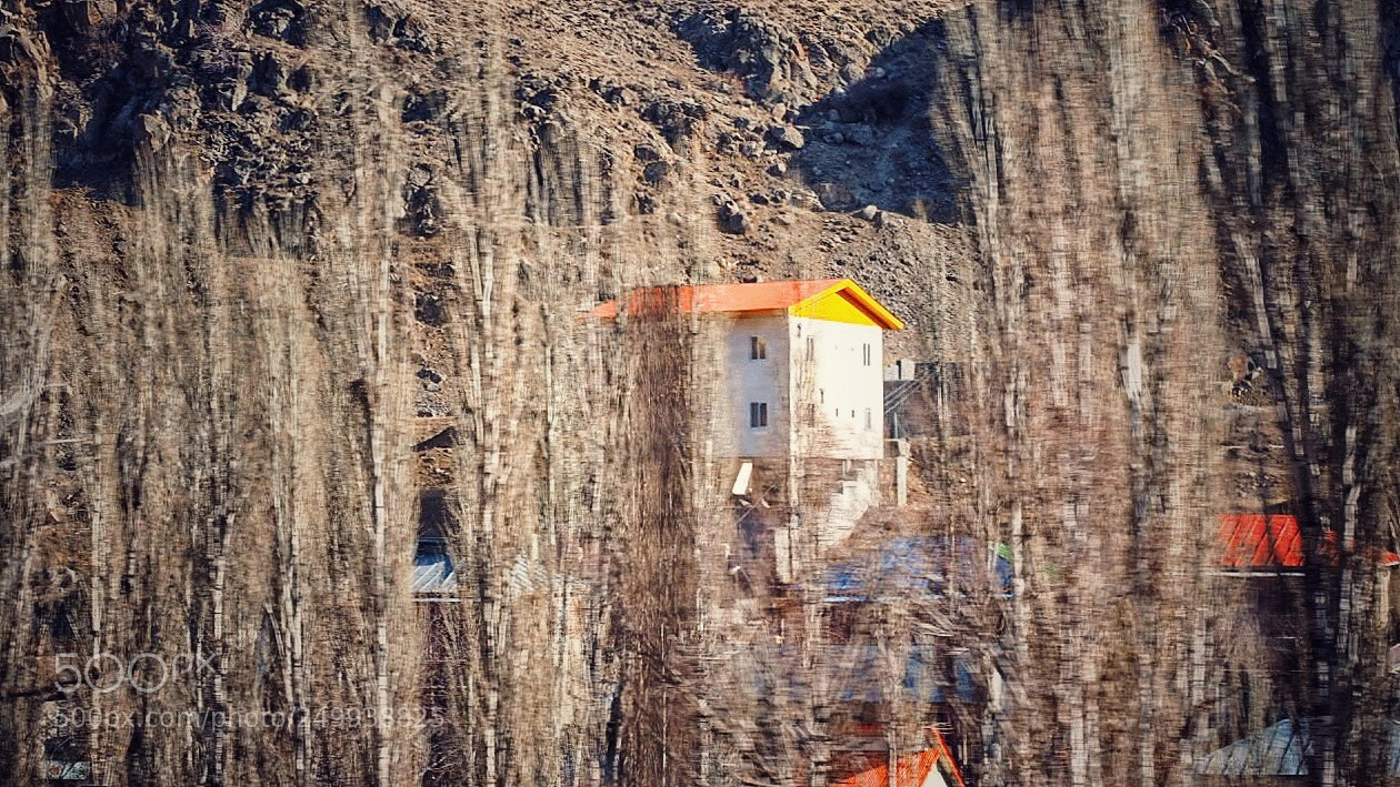 Olympus OM-D E-M10 III sample photo. Yellow house photography