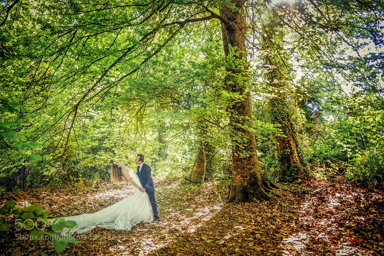 Nikon D610 sample photo. Untitled photography