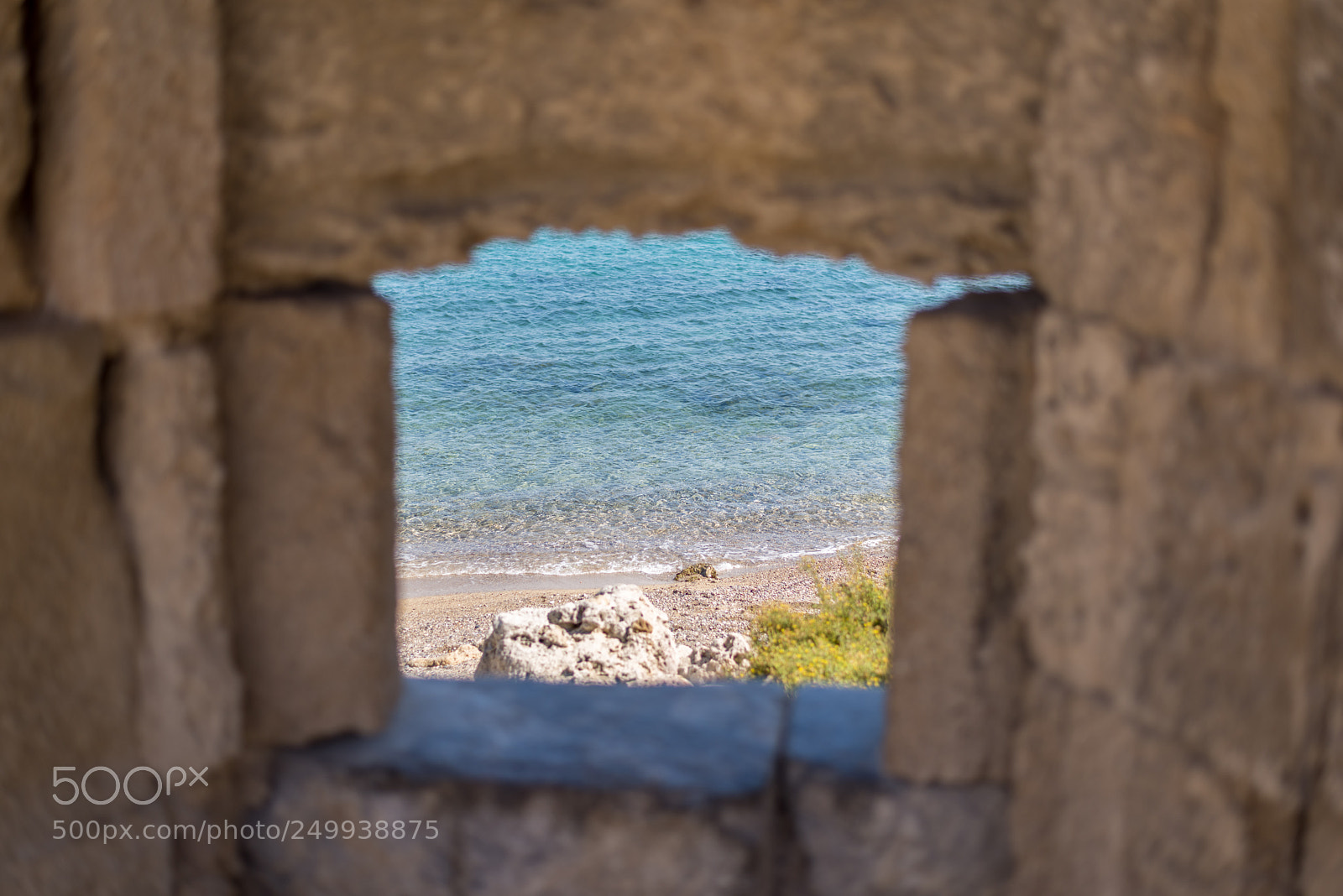 Nikon D810 sample photo. A glimpse of summer photography