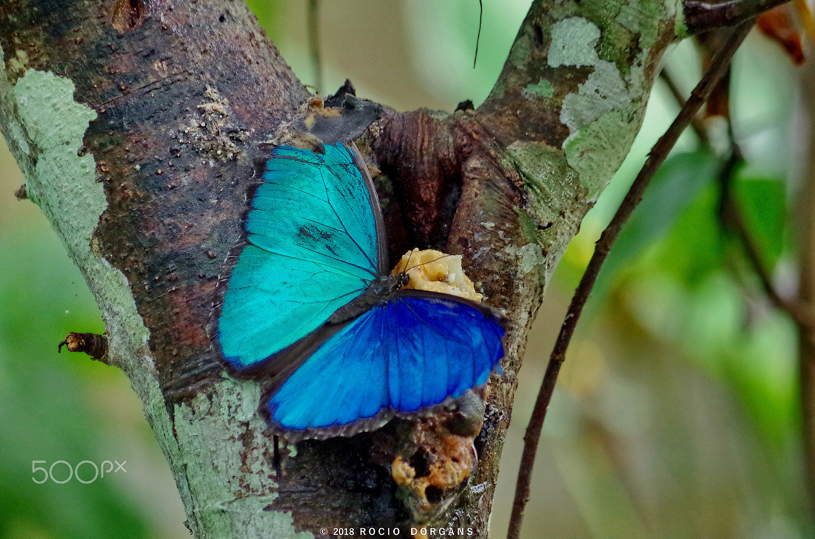 Pentax K-30 + smc PENTAX-DA L 50-200mm F4-5.6 ED sample photo. Iquitos - peru photography