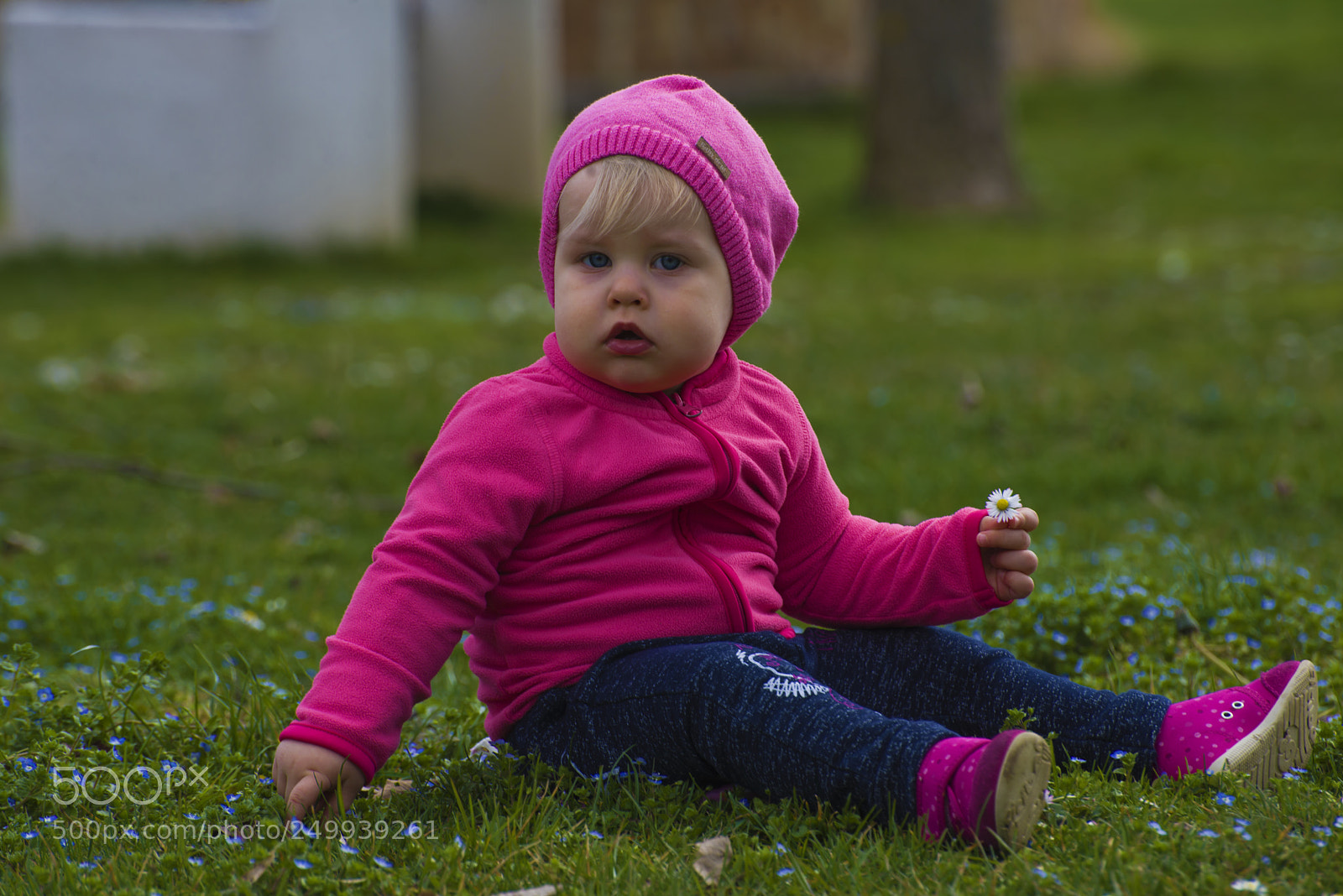Nikon D600 sample photo. Nature in nature photography