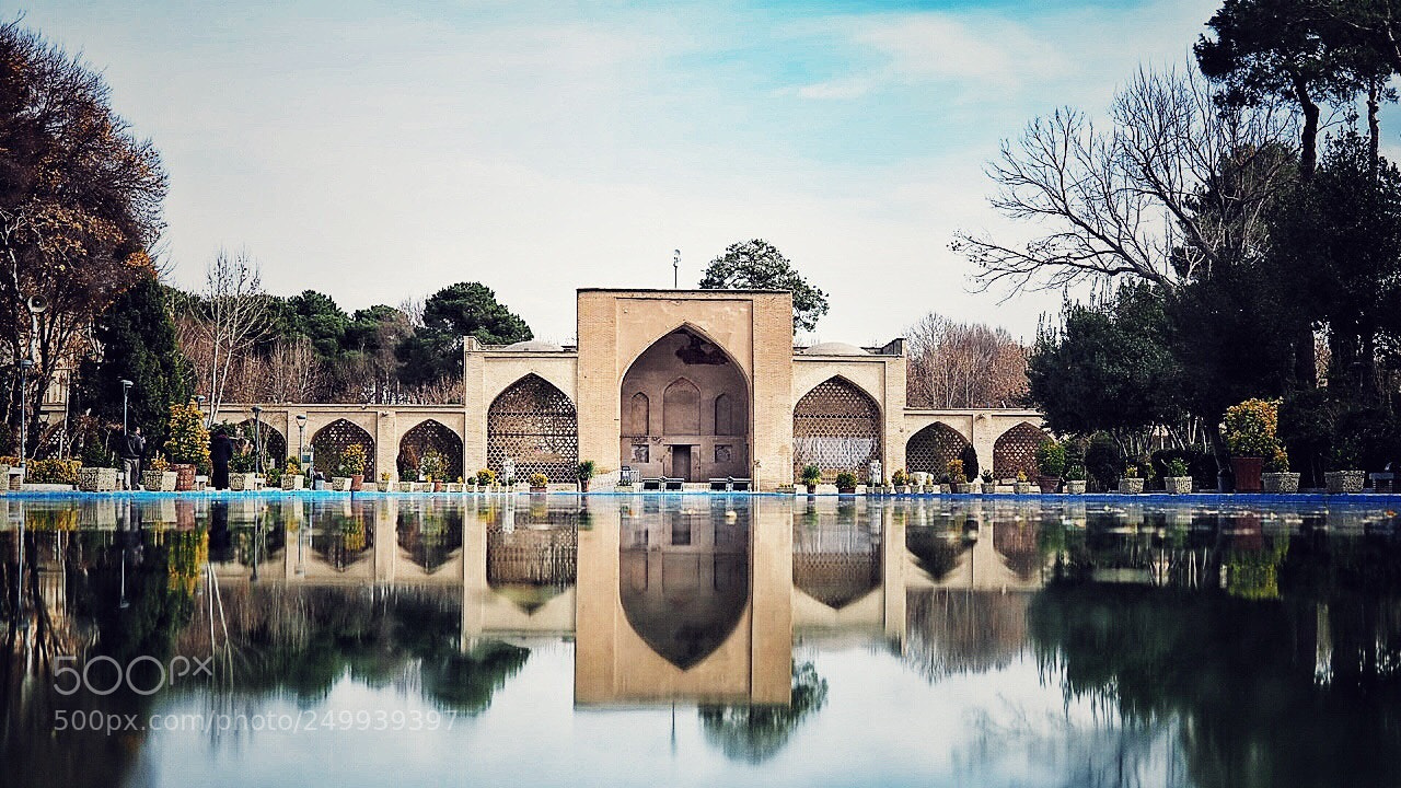 Olympus OM-D E-M10 III sample photo. Peaceful reflection photography
