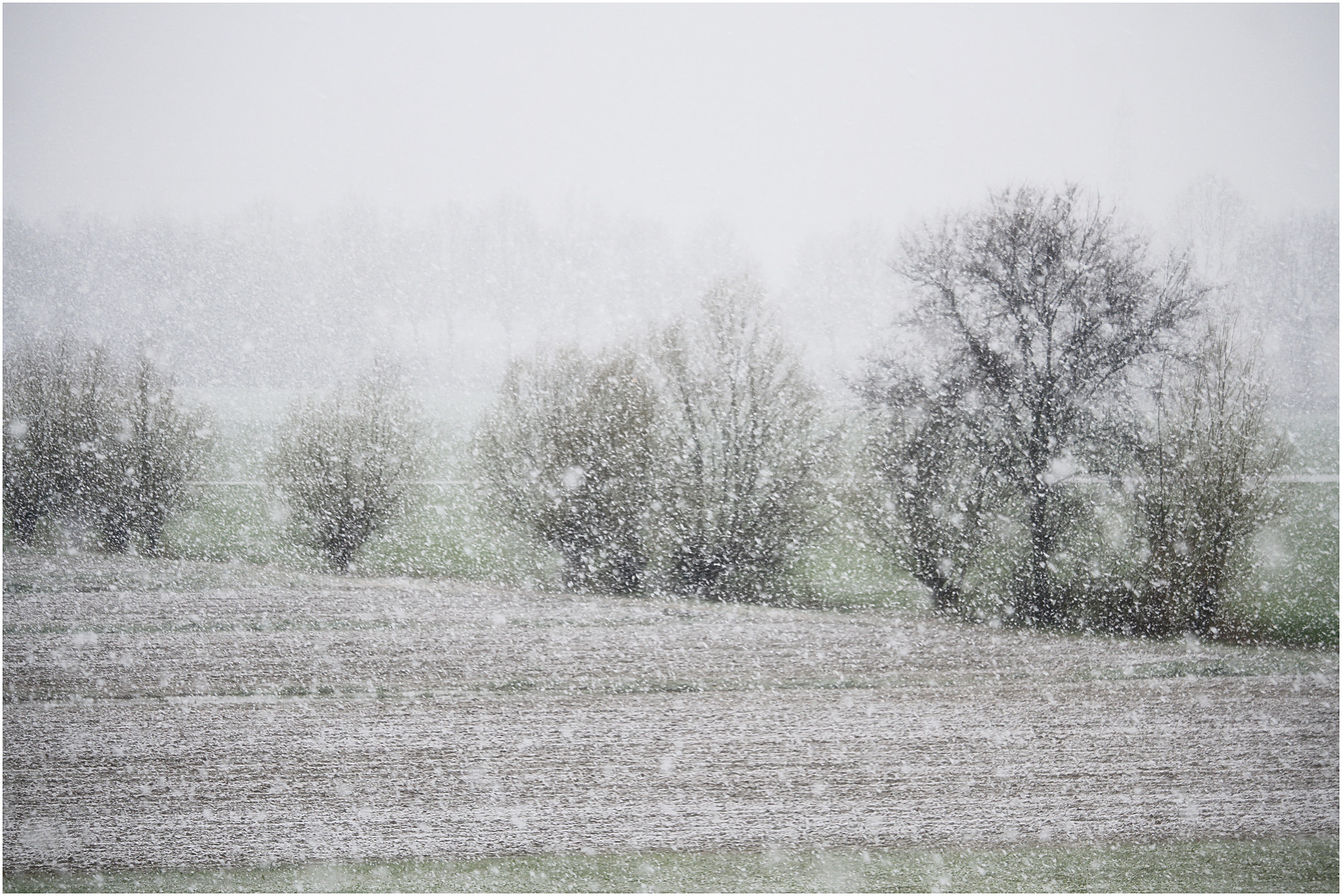 Canon EOS 7D sample photo. Snow photography
