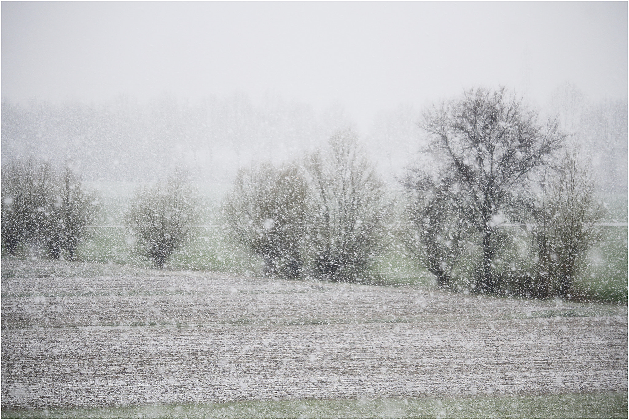 Canon EOS 7D + Canon EF-S 55-250mm F4-5.6 IS STM sample photo. Snow photography