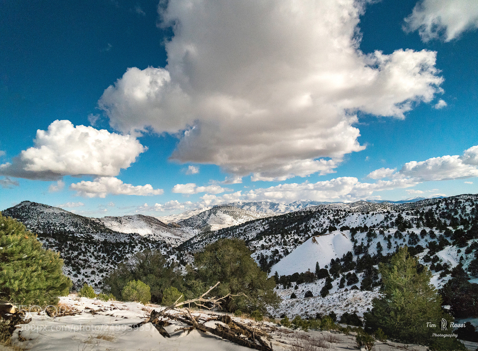 Sony a7R III sample photo. Nevada winter skies photography