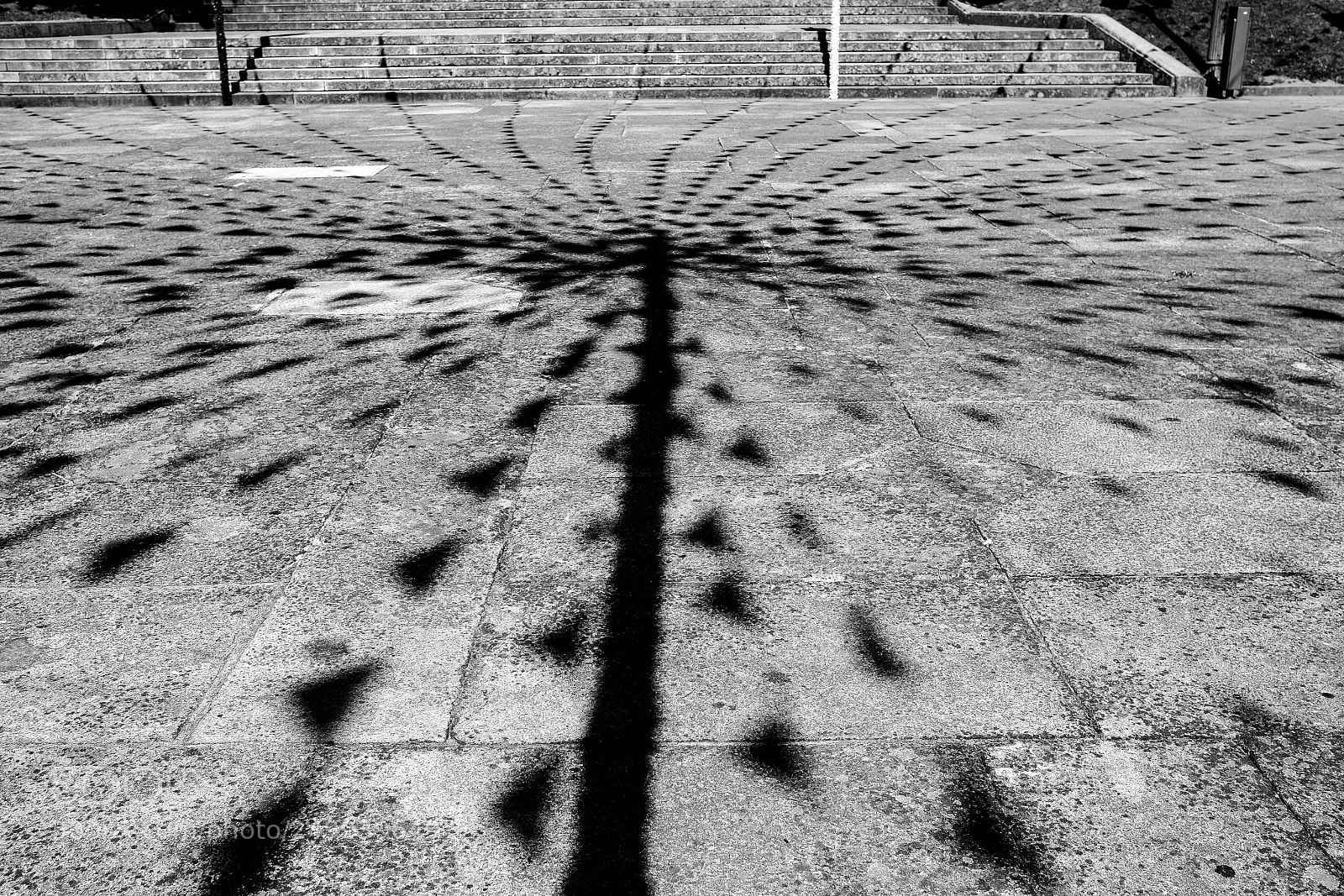 Fujifilm X-T10 sample photo. Shadow flags photography