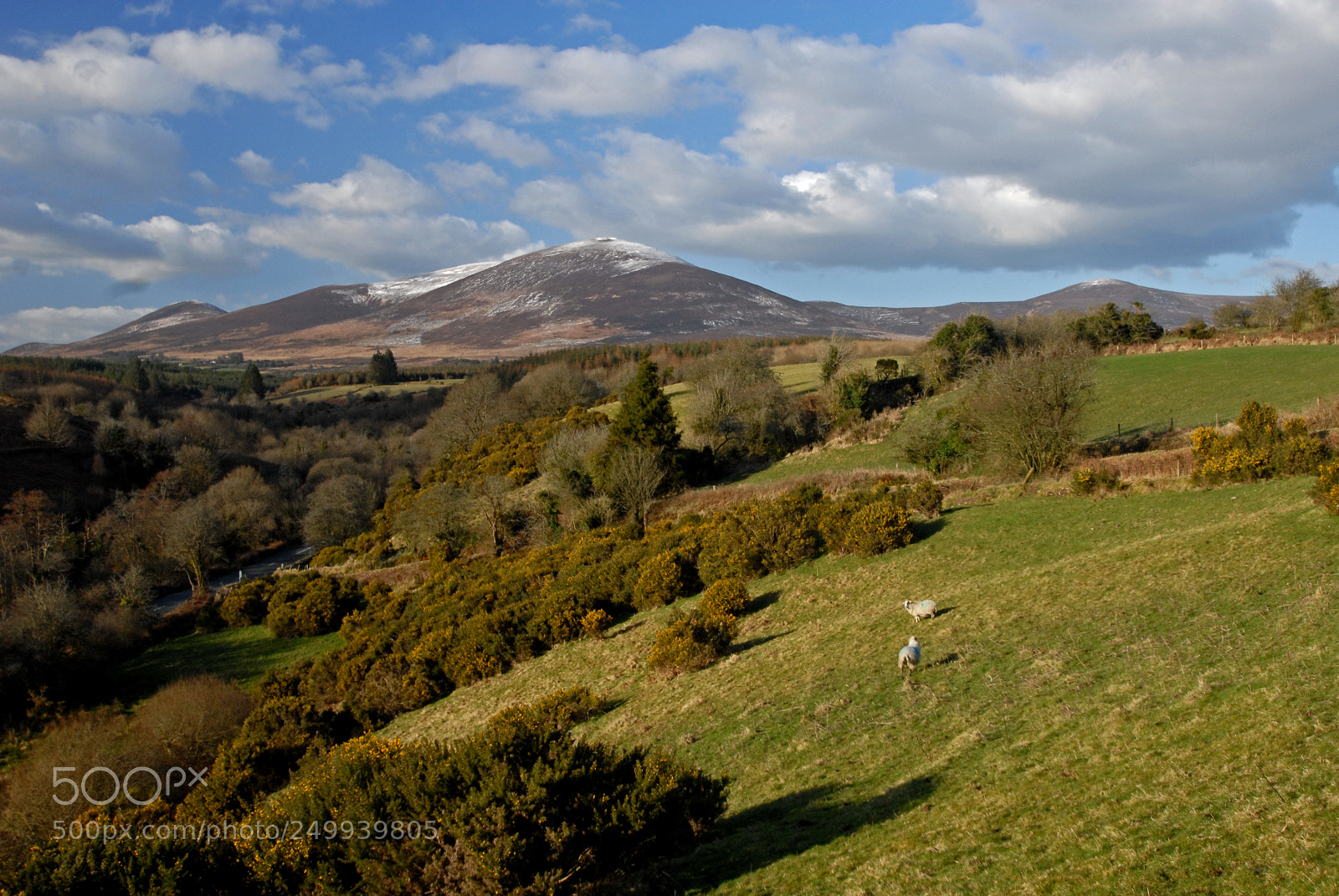 Nikon D200 sample photo. Comeragh 1 photography