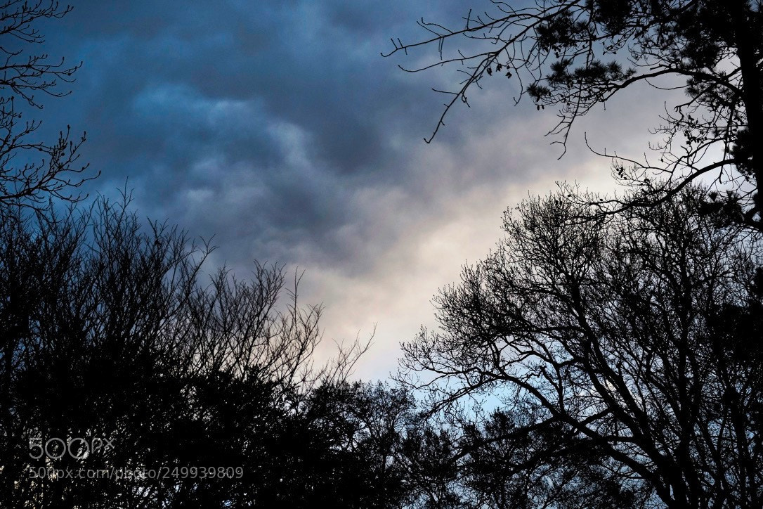 Fujifilm X-T1 sample photo. Late winter sky photography