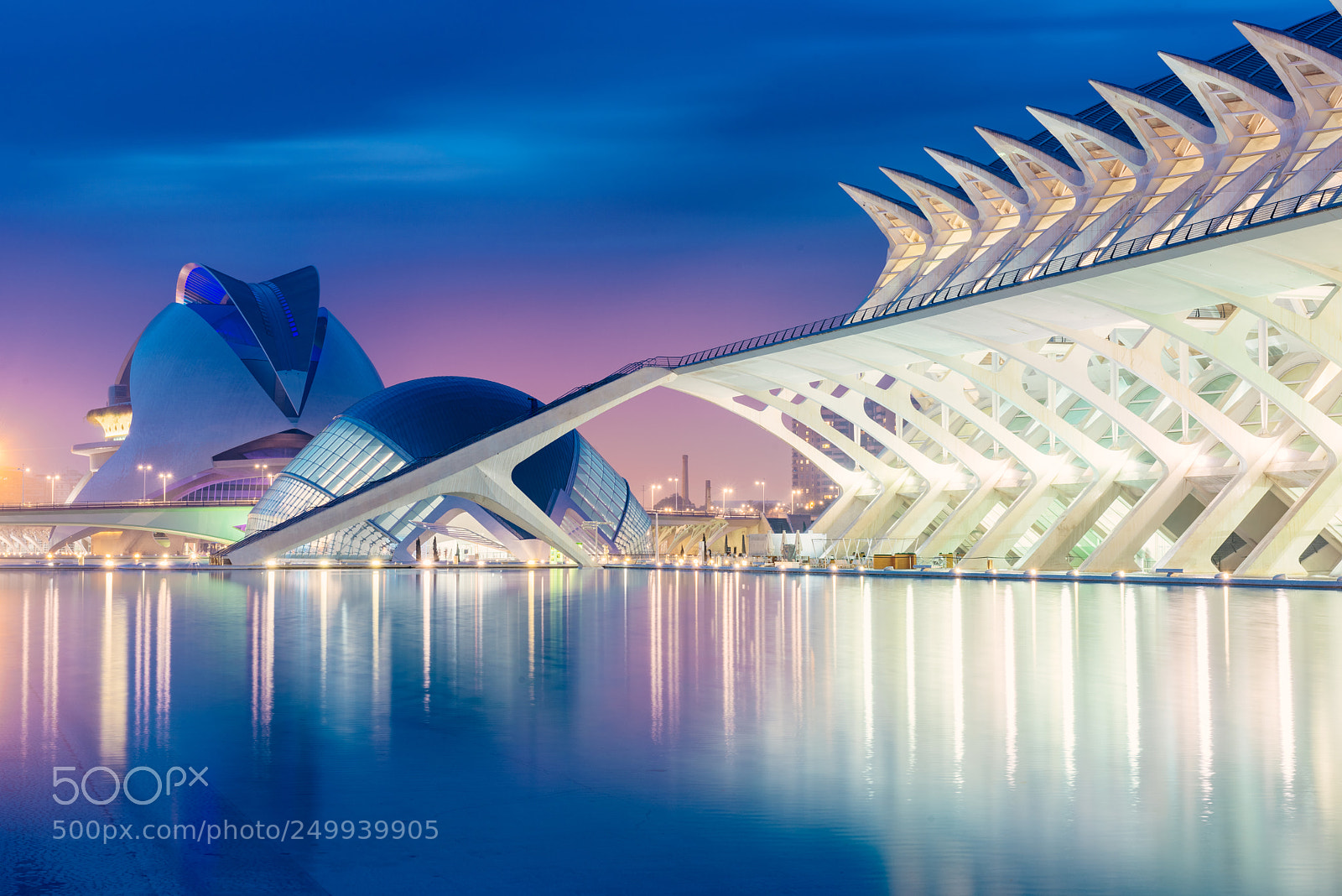 Nikon D810 sample photo. City of art and photography