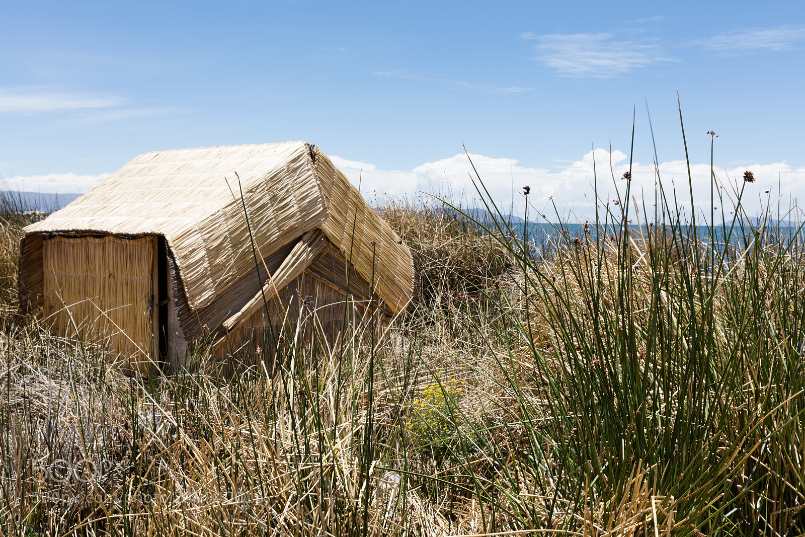 Canon EOS 5DS R sample photo. Life on the titicaca photography