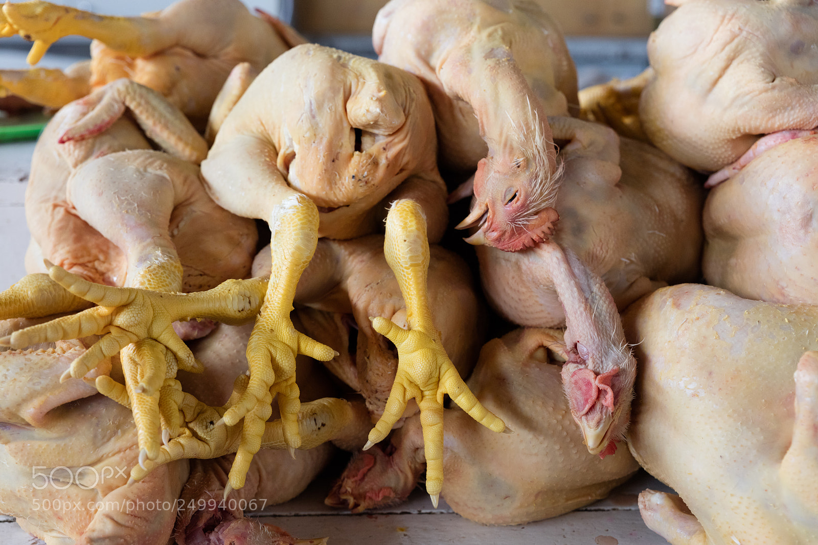 Canon EOS 5DS R sample photo. Chicken exposed in market photography
