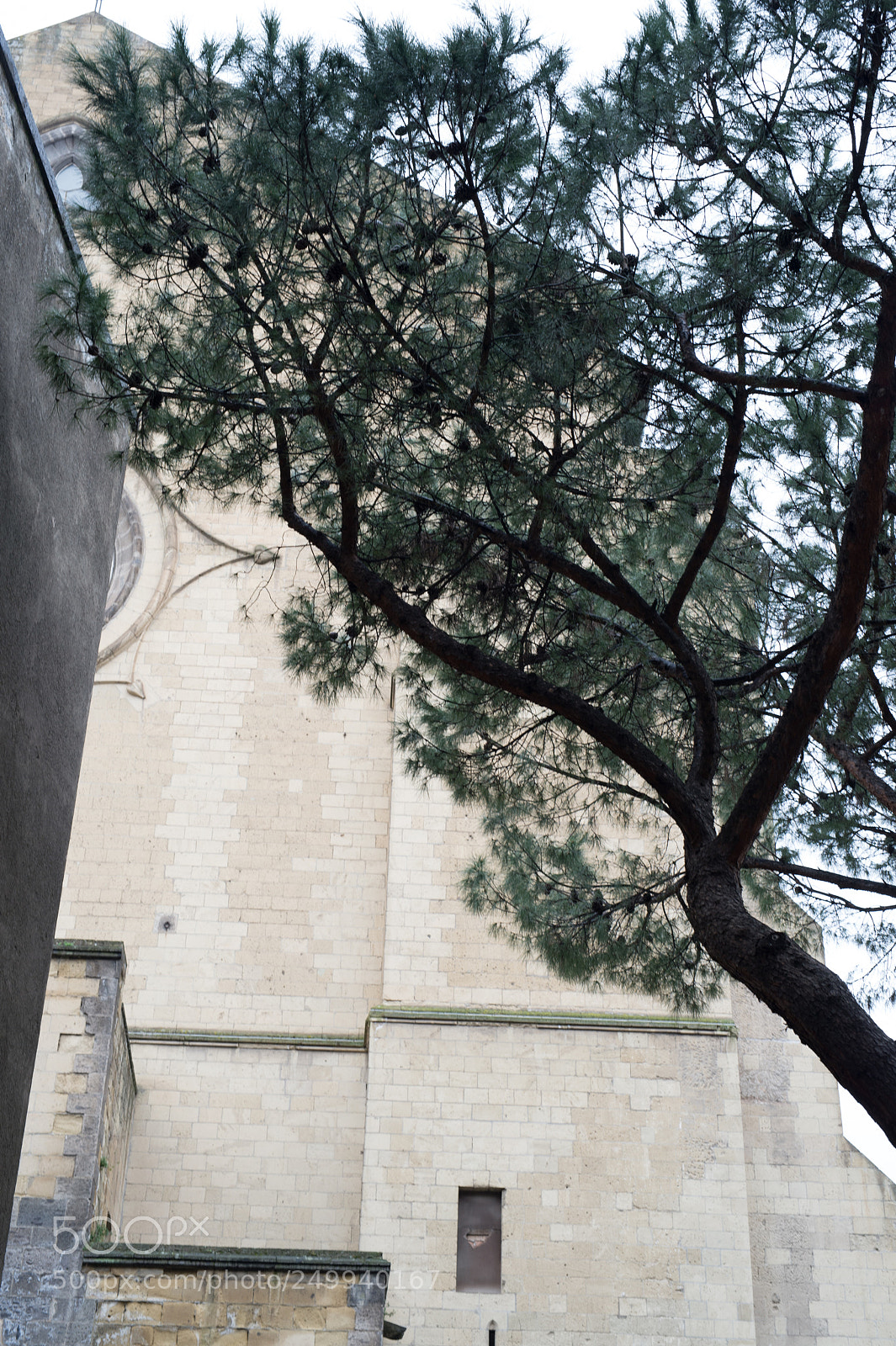 Nikon Df sample photo. St. chiara church, naples photography