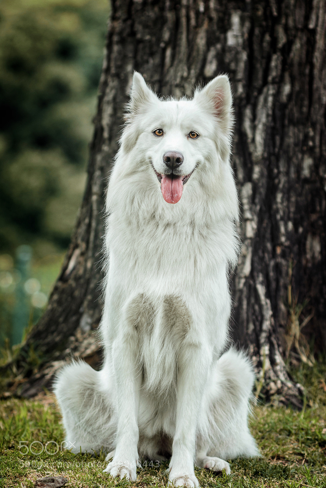 Nikon D7100 sample photo. Waiting for your likes :) photography