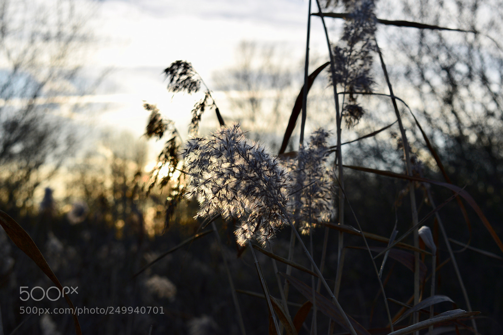 Nikon D3300 sample photo. Autumn photography