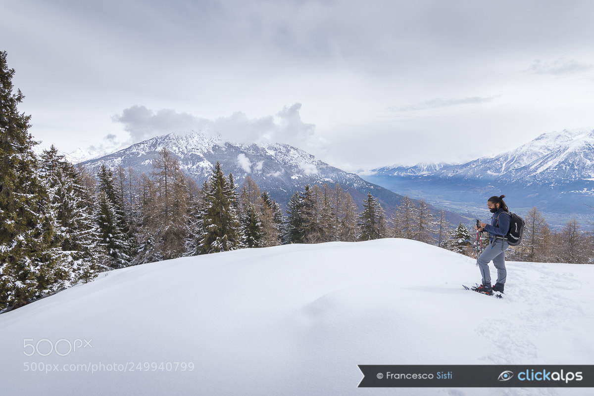 Nikon D810 sample photo. Contemplating open spaces... valle photography