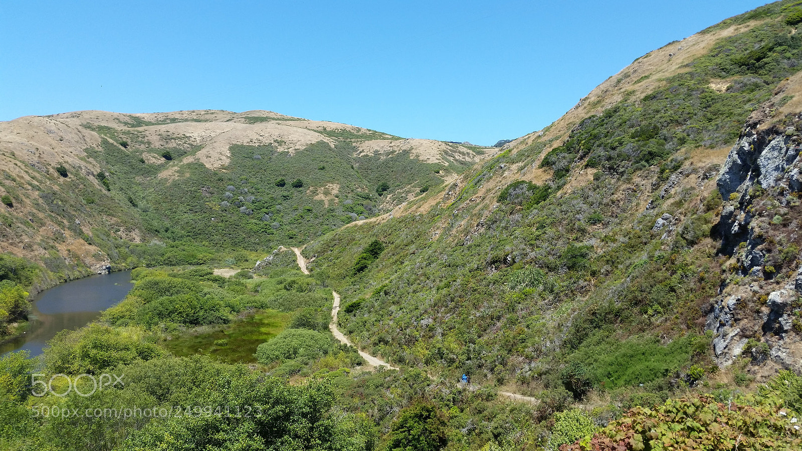 Samsung Galaxy S5 sample photo. Chanslor ranch photography