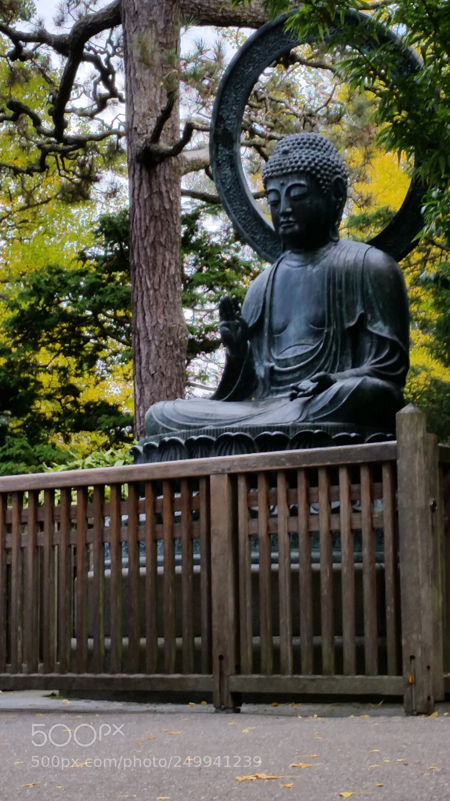 Samsung Galaxy S5 sample photo. San francisco japanese garden photography