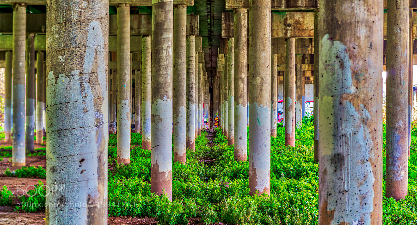 Pentax K-3 II sample photo. Ripon trail photography