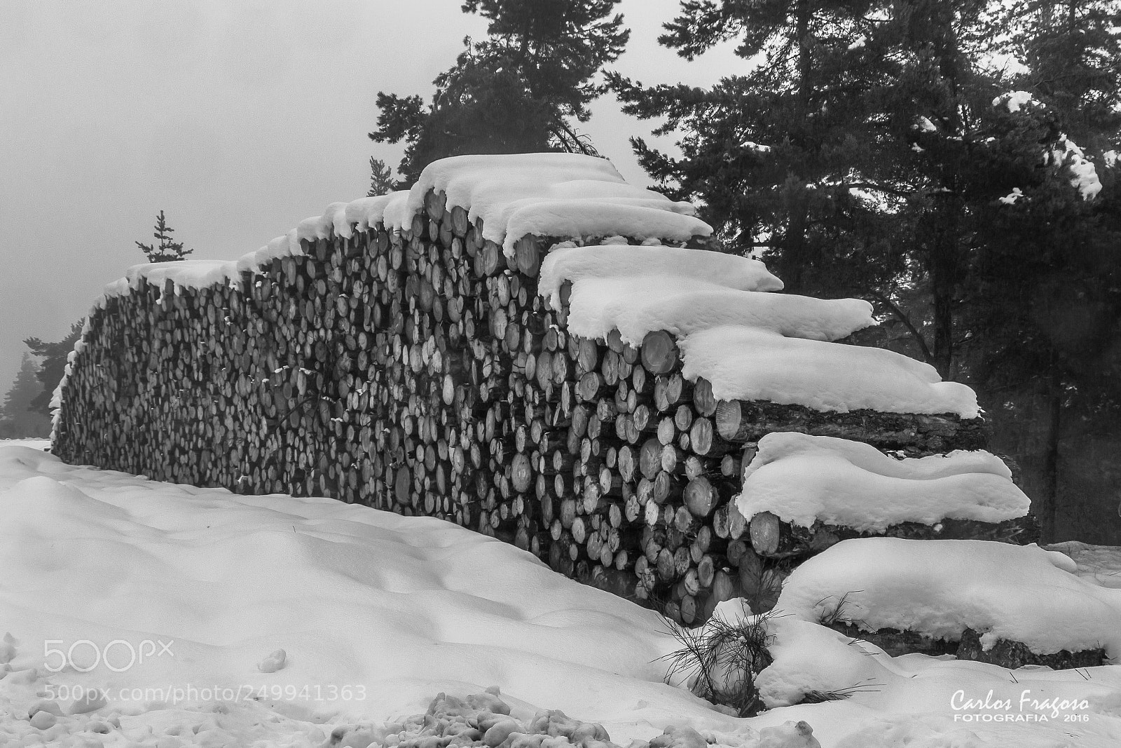 Canon EOS 700D (EOS Rebel T5i / EOS Kiss X7i) sample photo. Firewood with chantilly photography