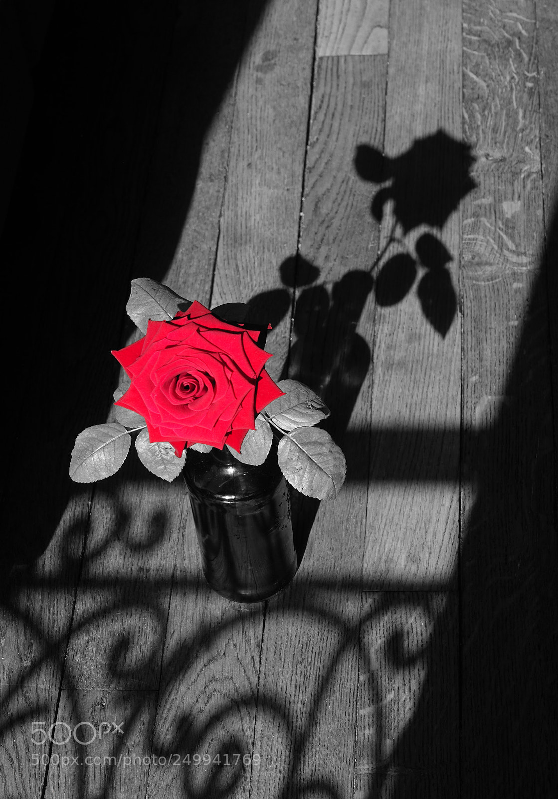 Sony Cyber-shot DSC-RX10 III sample photo. Red rose in the photography