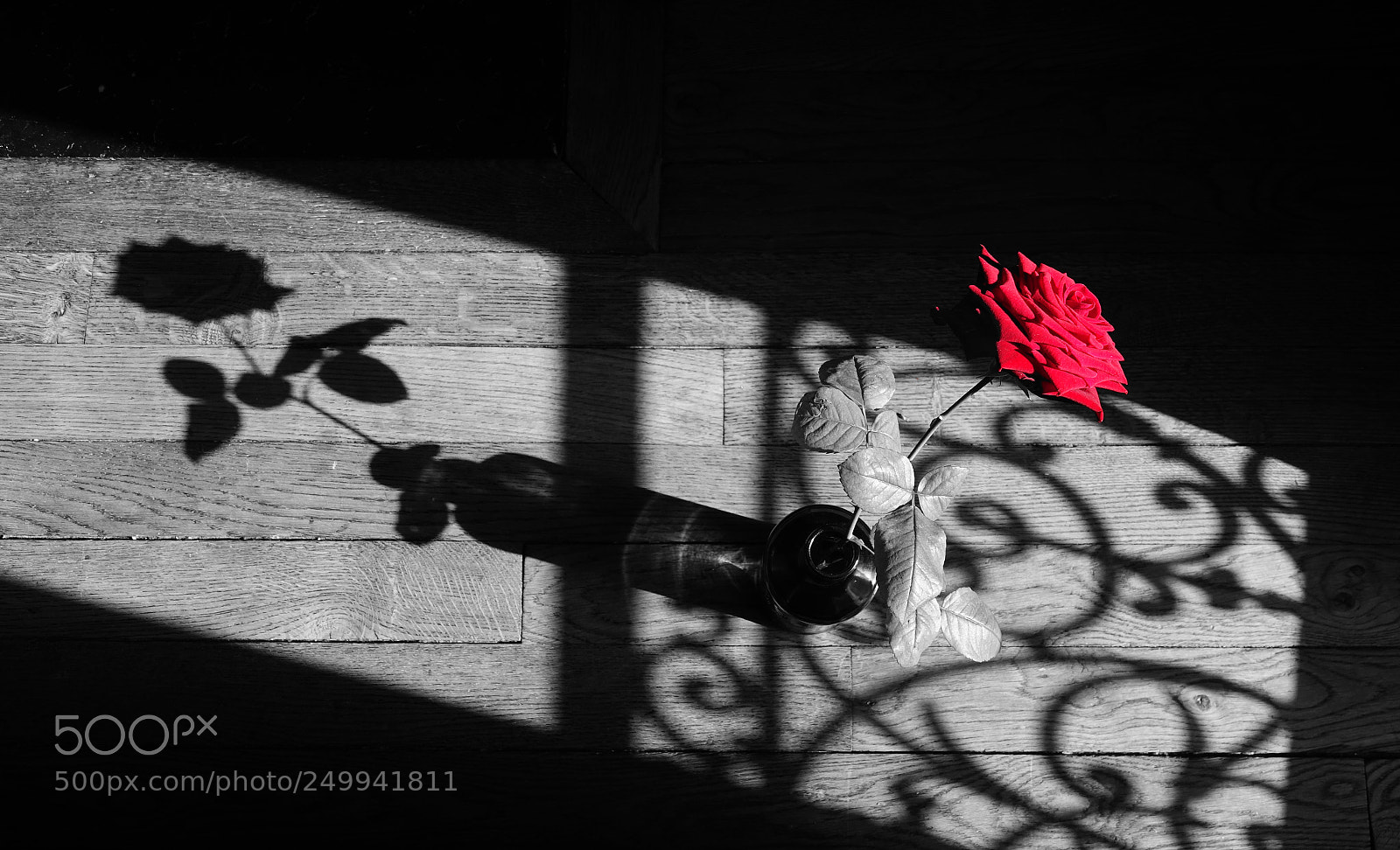 Sony Cyber-shot DSC-RX10 III sample photo. A red rose under photography