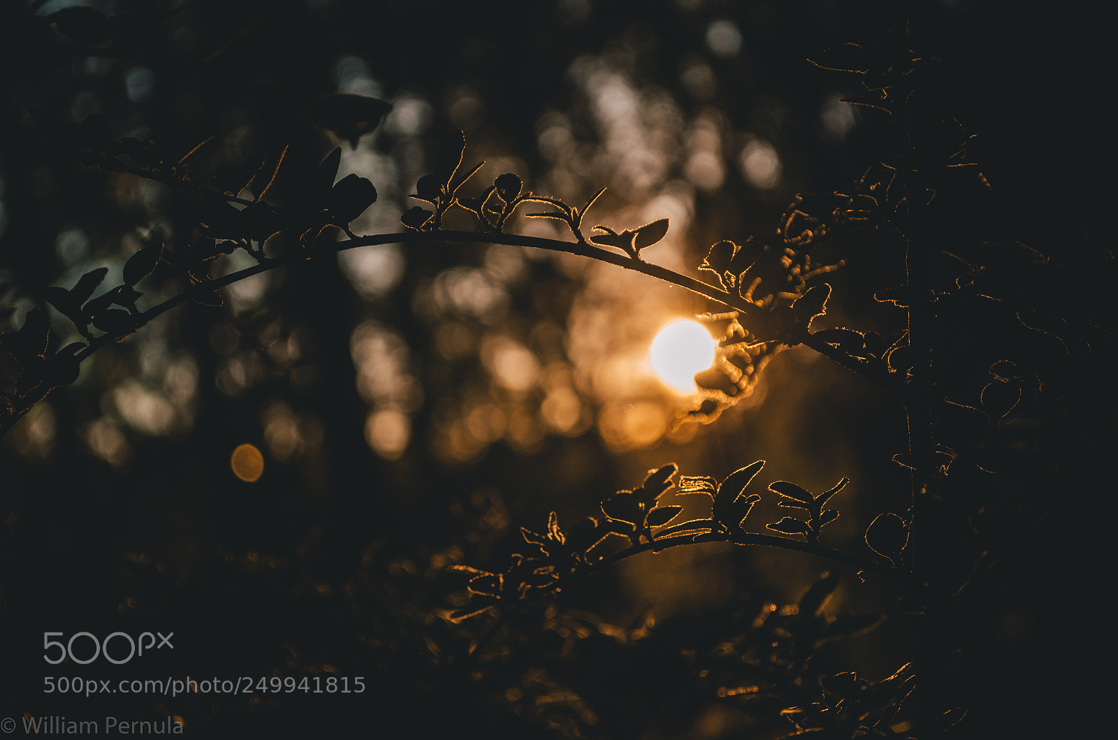 Nikon D5100 sample photo. Evening photography