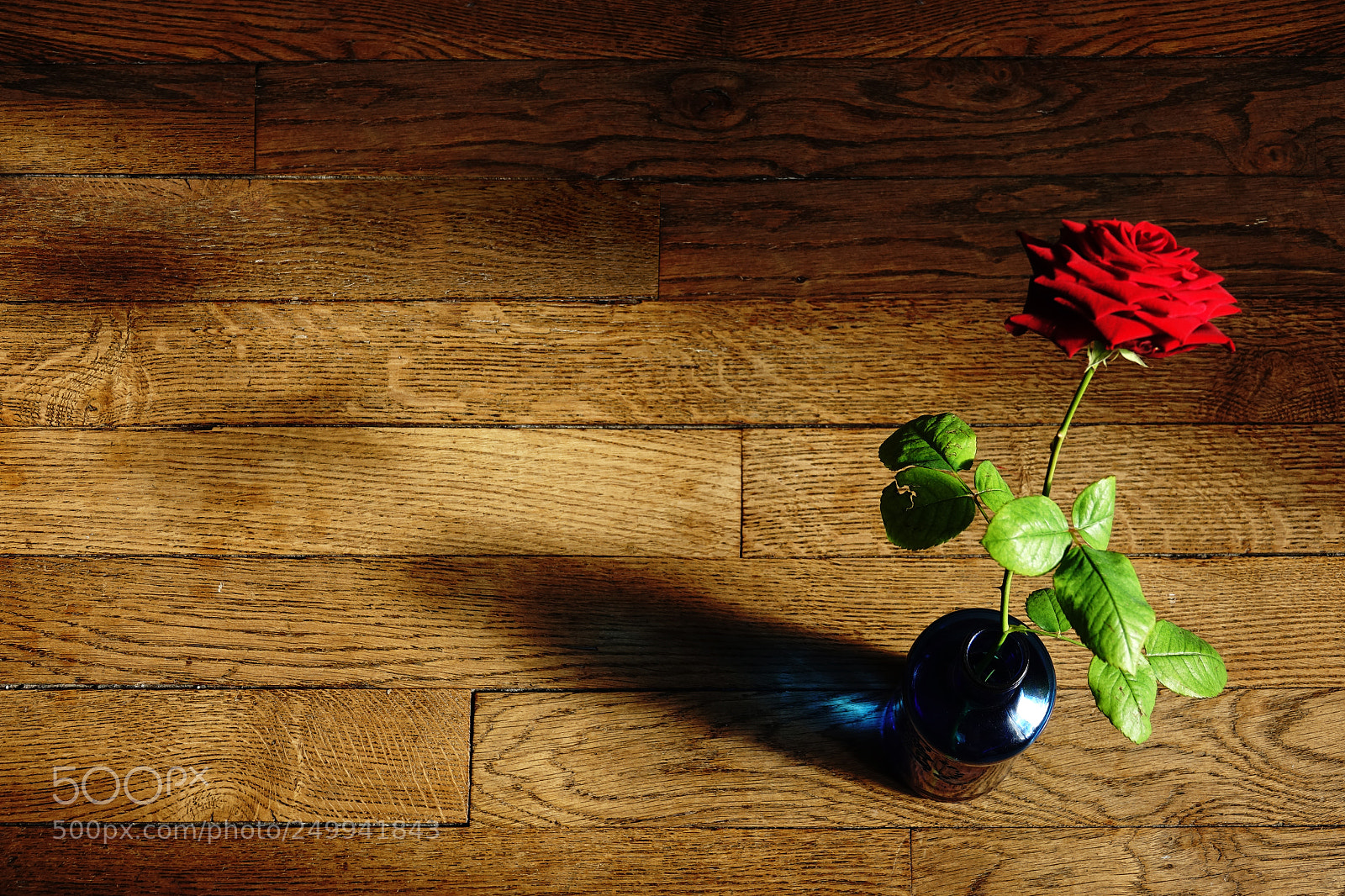 Sony Cyber-shot DSC-RX10 III sample photo. A rose on the photography