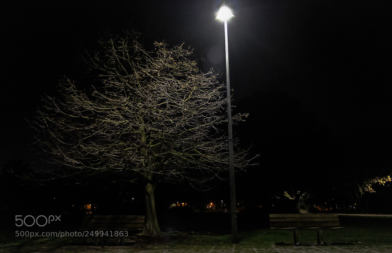 Canon EOS 600D (Rebel EOS T3i / EOS Kiss X5) sample photo. Dark forest photography