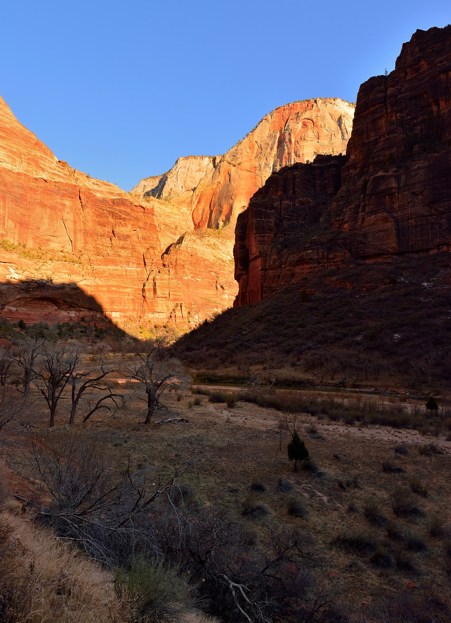 Nikon AF-S Nikkor 14-24mm F2.8G ED sample photo. Zion mountains at late afternoon photography