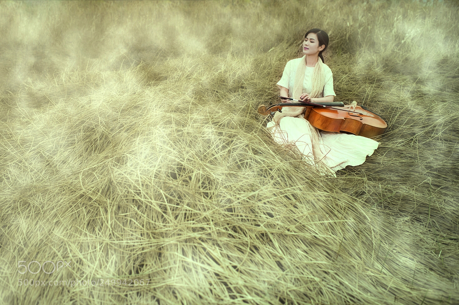 Nikon D800 sample photo. Untitled photography