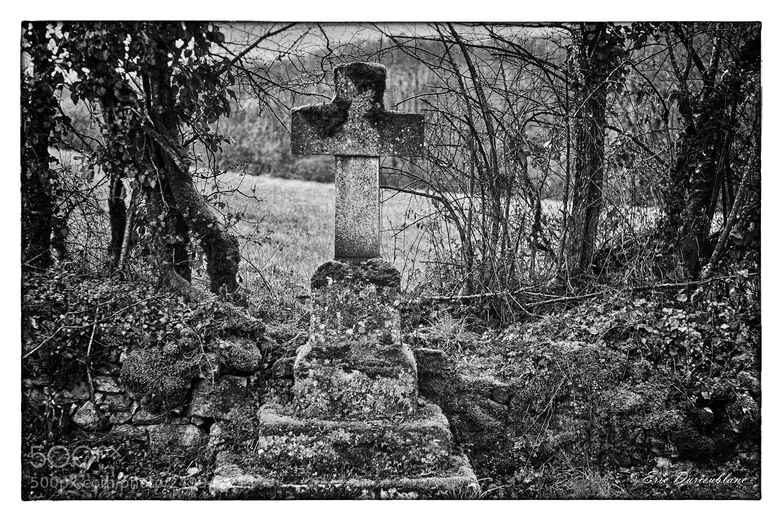 Canon EOS-1D Mark II sample photo. Untitled photography