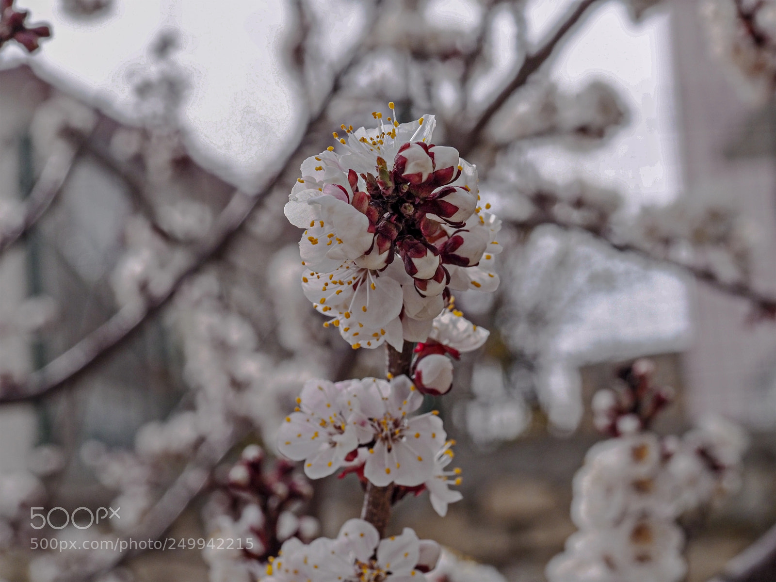Olympus OM-D E-M1 Mark II sample photo. Olympus digital camera photography