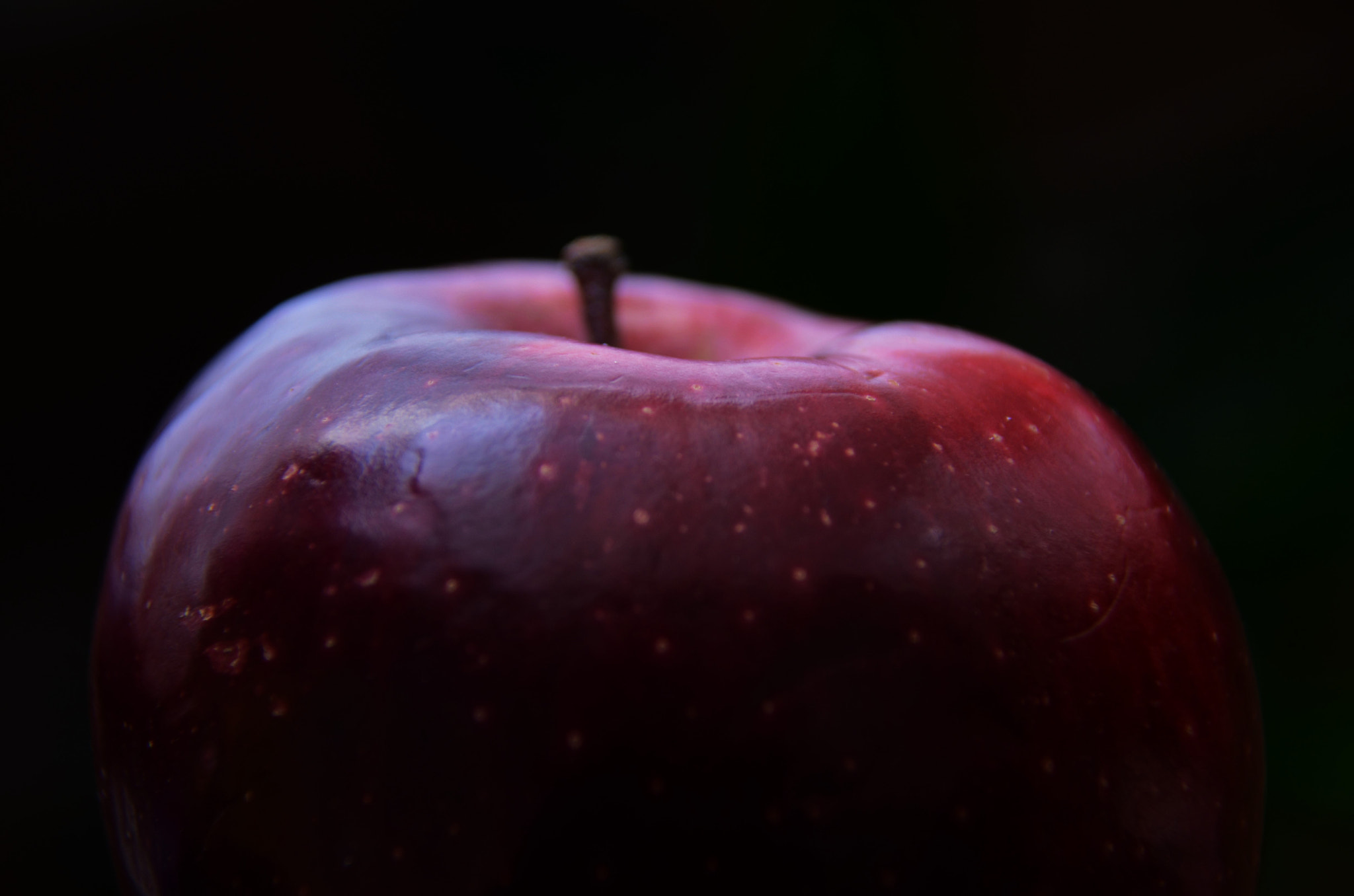 Nikon D7000 sample photo. (redness in darkness) photography