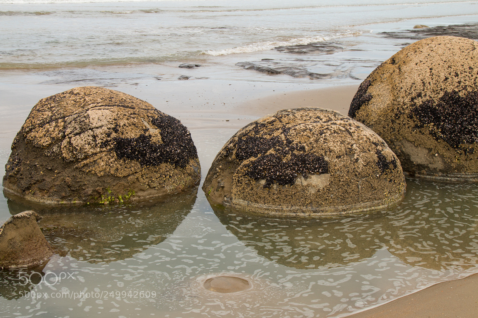 Canon EOS 70D sample photo. Moeraki boulders reflective photography