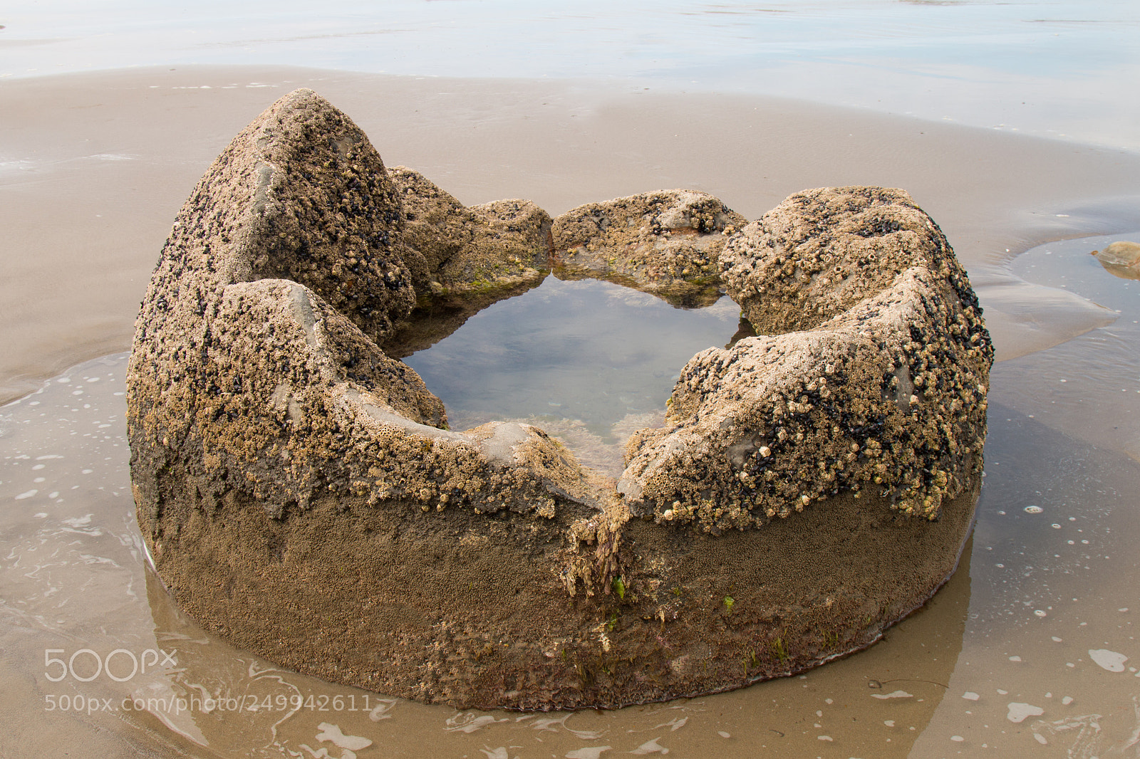 Canon EOS 70D sample photo. Moeraki boulders egg cup photography