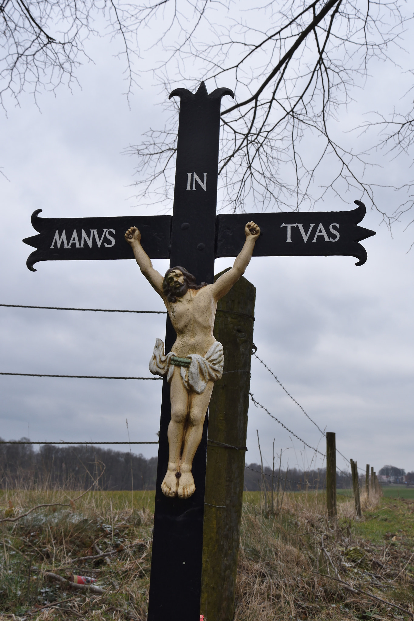 Nikon D7200 sample photo. Wandeling noorbeek veldkruis. photography