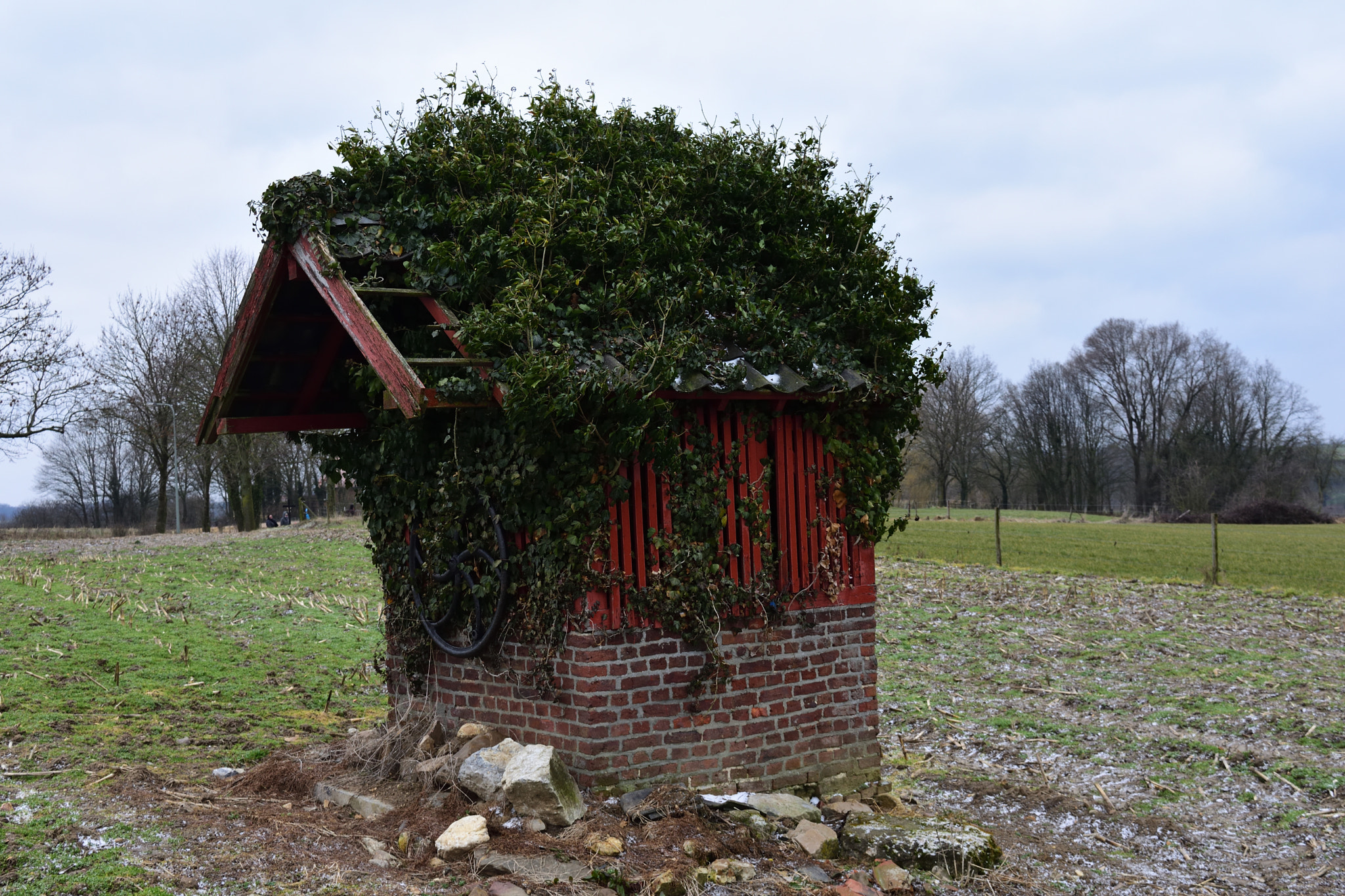 Nikon D7200 sample photo. Wandeling noorbeek. photography