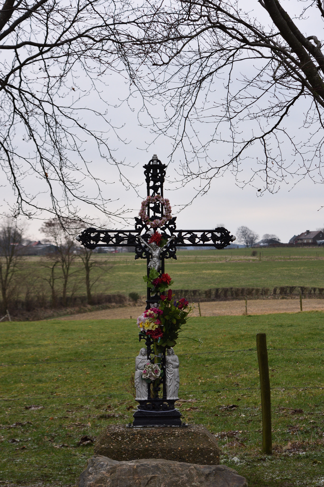Nikon D7200 sample photo. Wandeling noorbeek veldkruis. photography