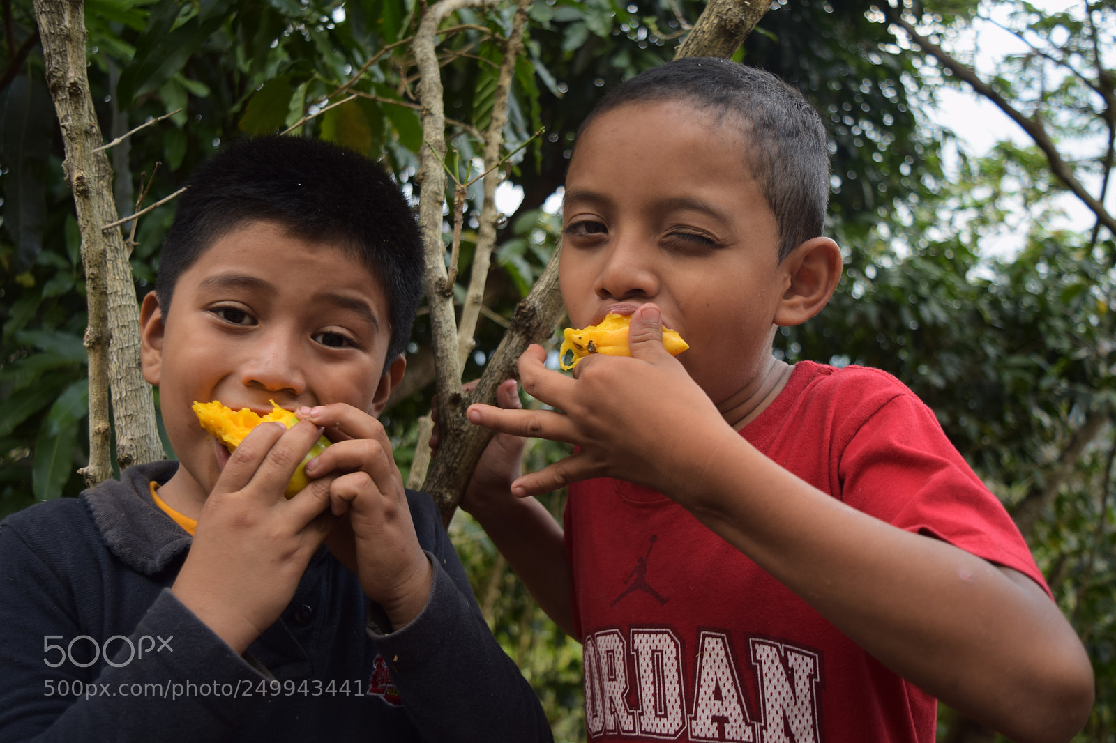 Nikon D3300 sample photo. Paseo photography