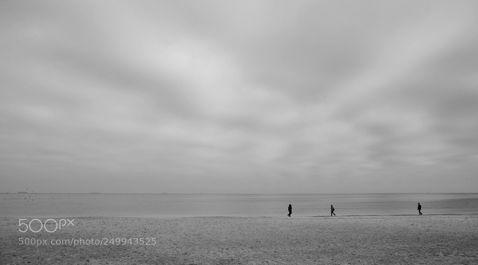 Nikon D90 sample photo. Winter and sea photography