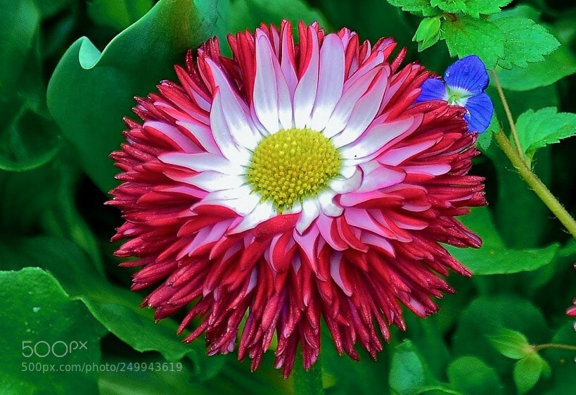 Nikon D7000 sample photo. Friendly photography